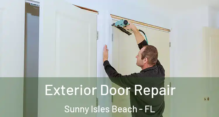 Exterior Door Repair Sunny Isles Beach - FL