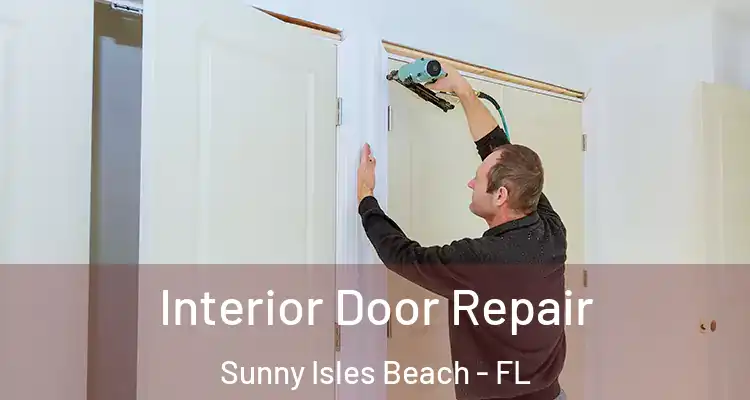 Interior Door Repair Sunny Isles Beach - FL