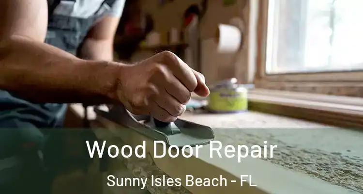 Wood Door Repair Sunny Isles Beach - FL